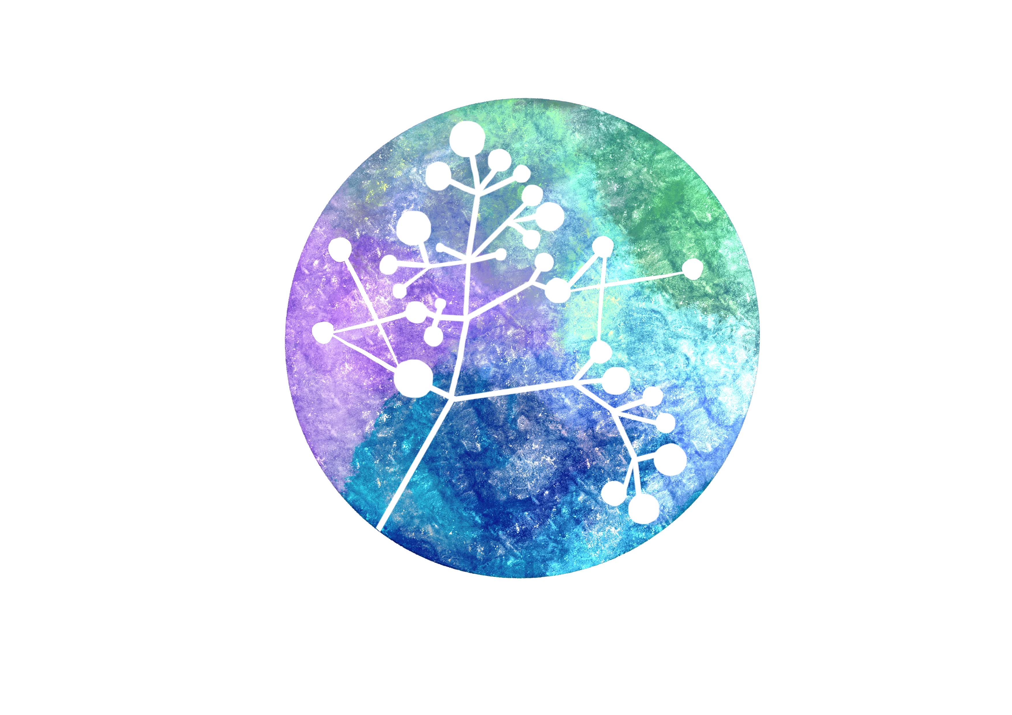 Schmidt AI in Science logo