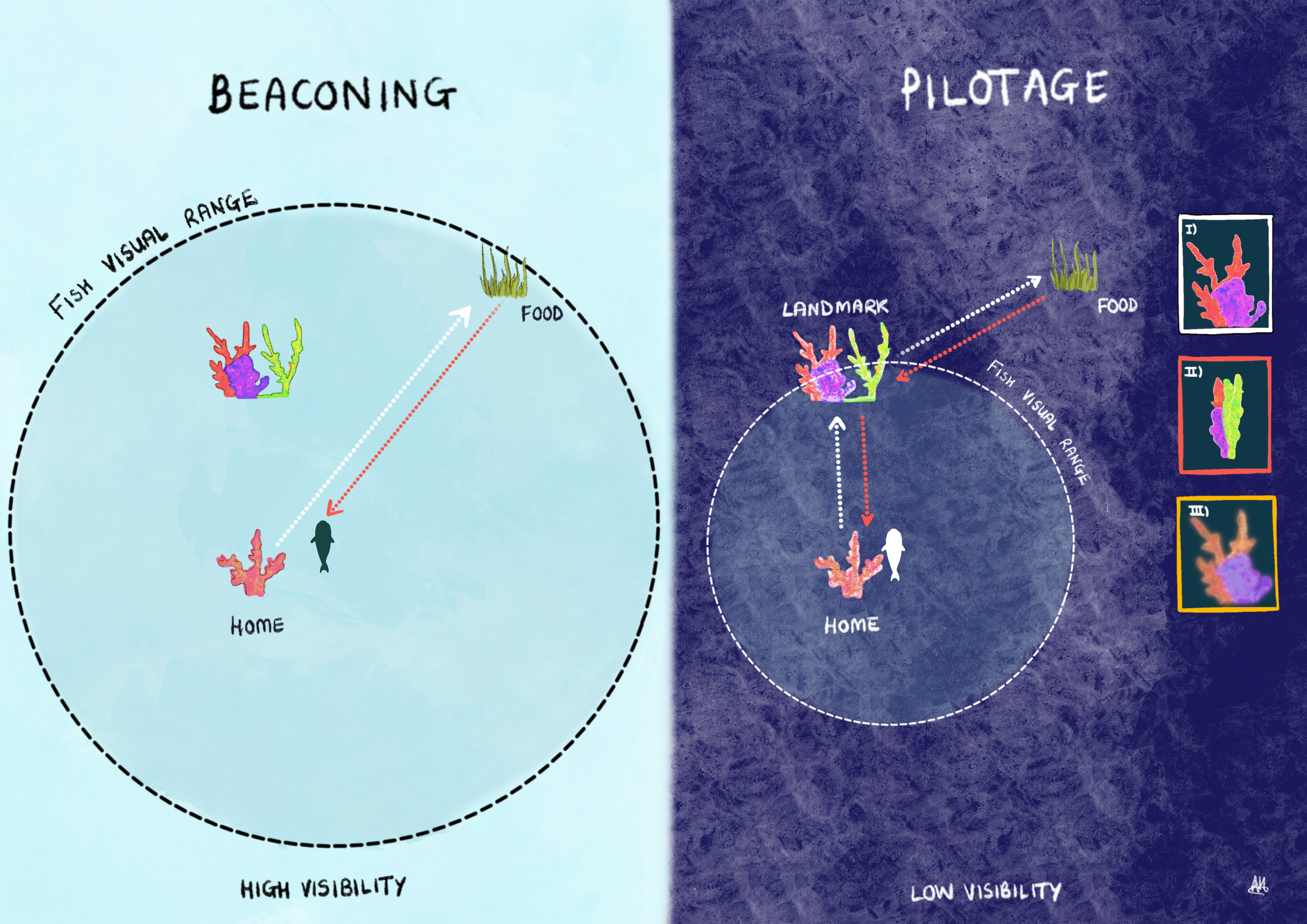 cait newport illustration